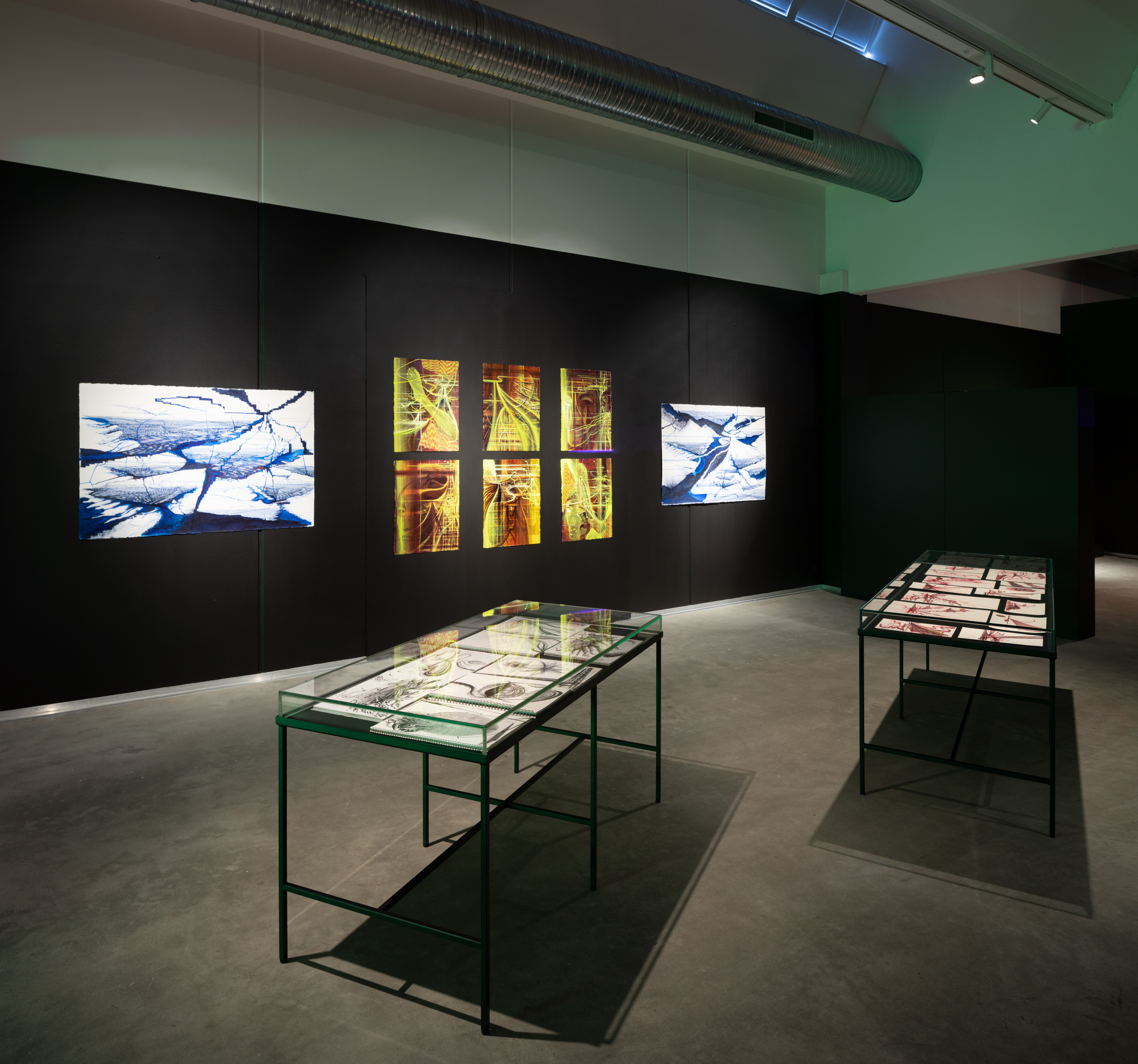 Ferdinand Ahm Krag (f. 1977). Foto fra udstillingen.