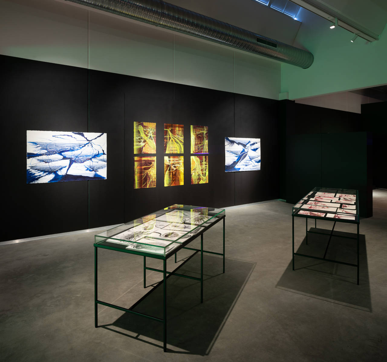 Ferdinand Ahm Krag (f. 1977). Foto fra udstillingen.