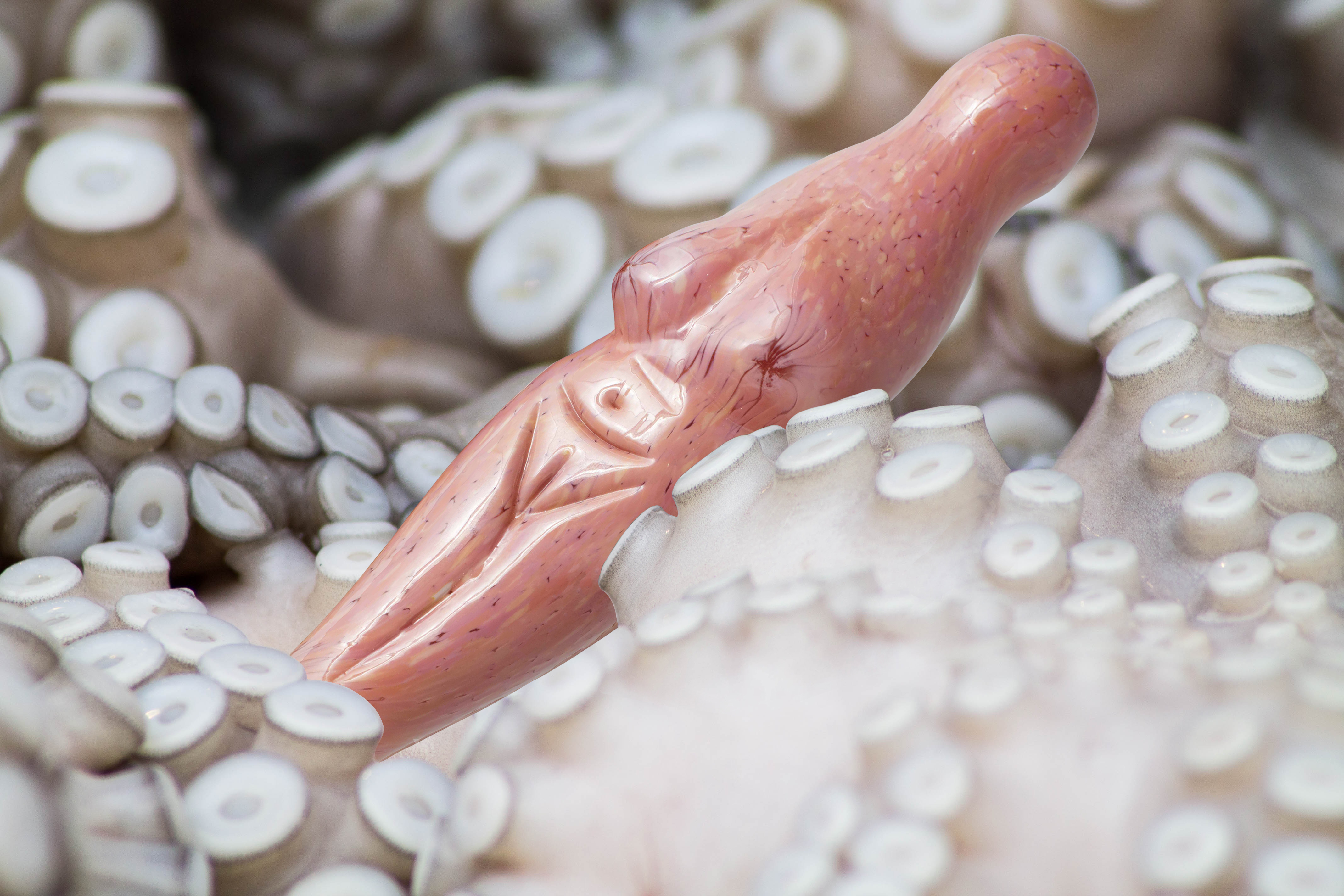 Billede og skulptur (Call Me Venus, Venus III) - Ceylan Öztrük