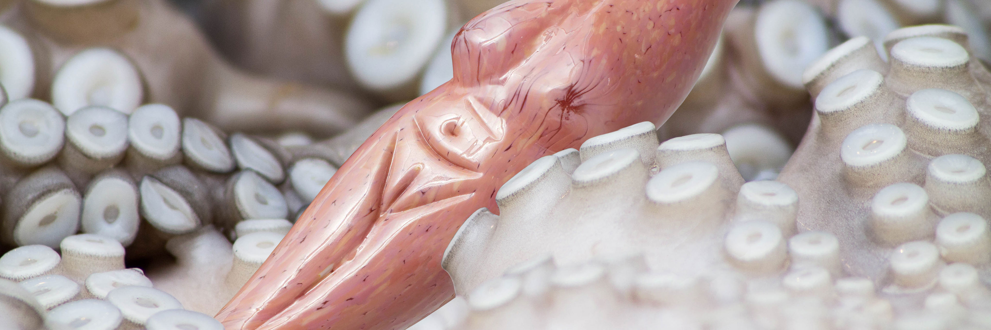 Billede og skulptur (Call Me Venus, Venus III) - Ceylan Öztrük