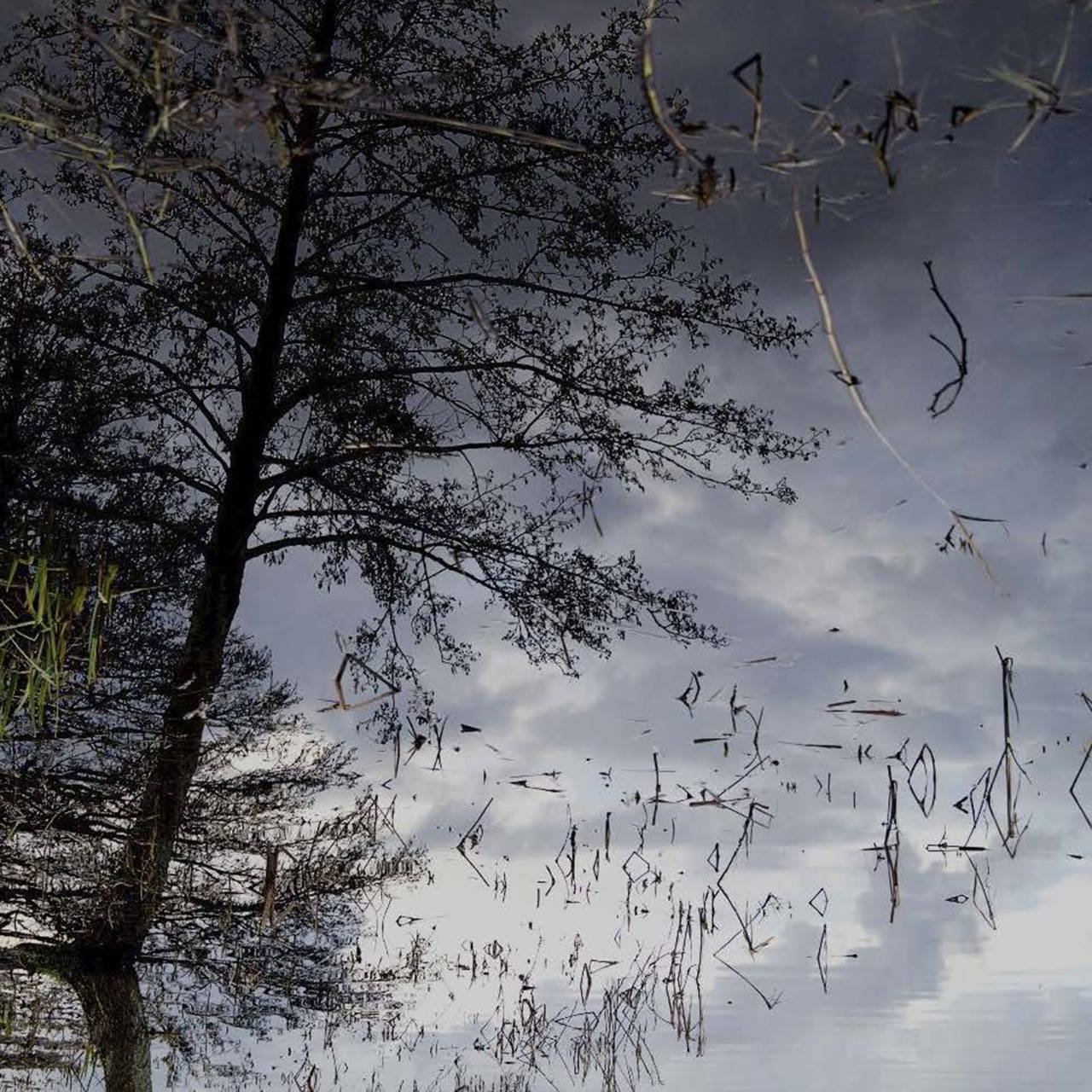 Ninna Andersen, Så langt øjet rækker, fotoserie, Viborg Katedralskole