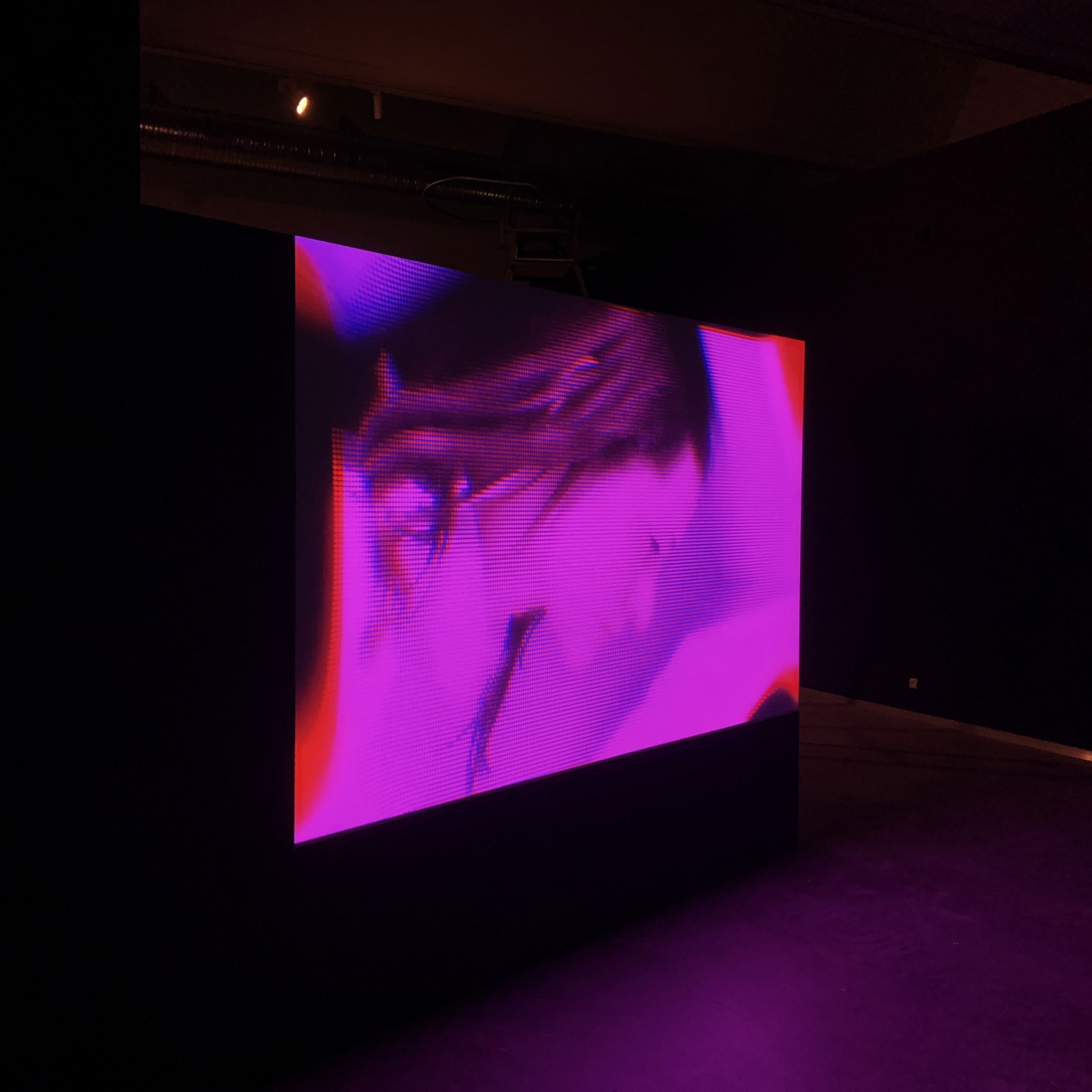 Rikke Benborg (f. 1973). Foto fra udstillingen.