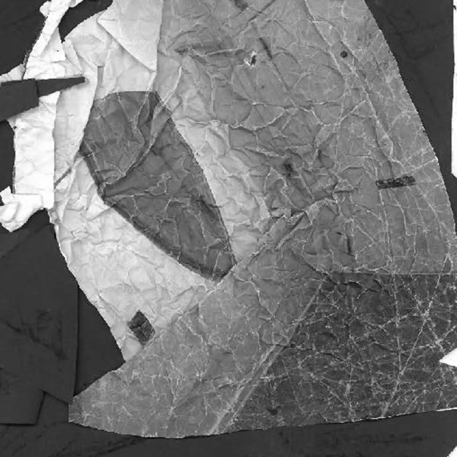 Hanna Jasin Noor, Uden titel, Collage, Århus Statsgymnasium