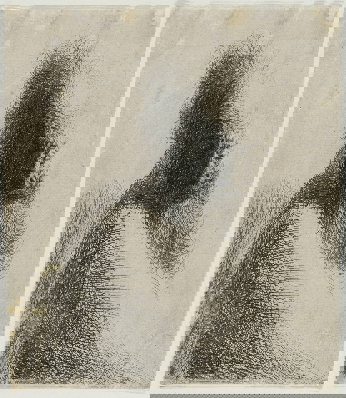 Rembrandt van Rijn. Gammel mand, der ser ned, 1631. Radering. Vejle Kunstmuseum