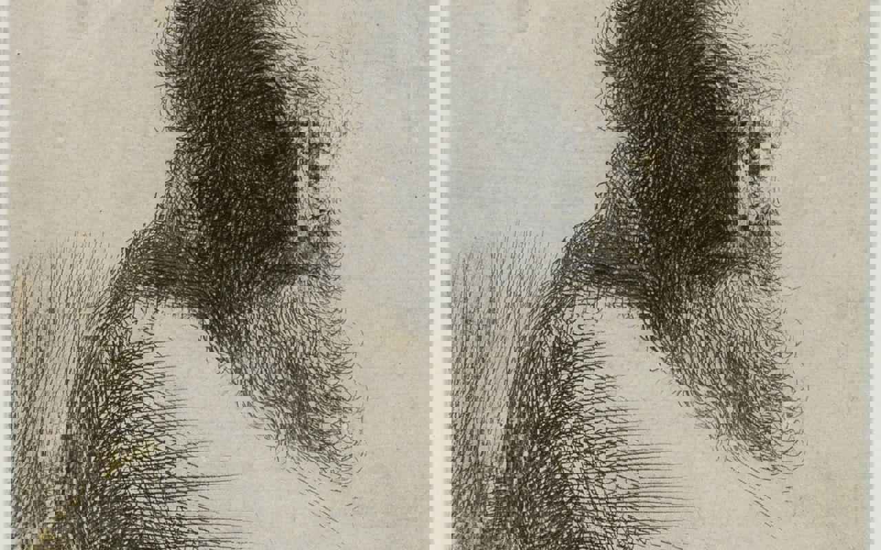 Rembrandt van Rijn. Gammel mand, der ser ned, 1631. Radering. Vejle Kunstmuseum