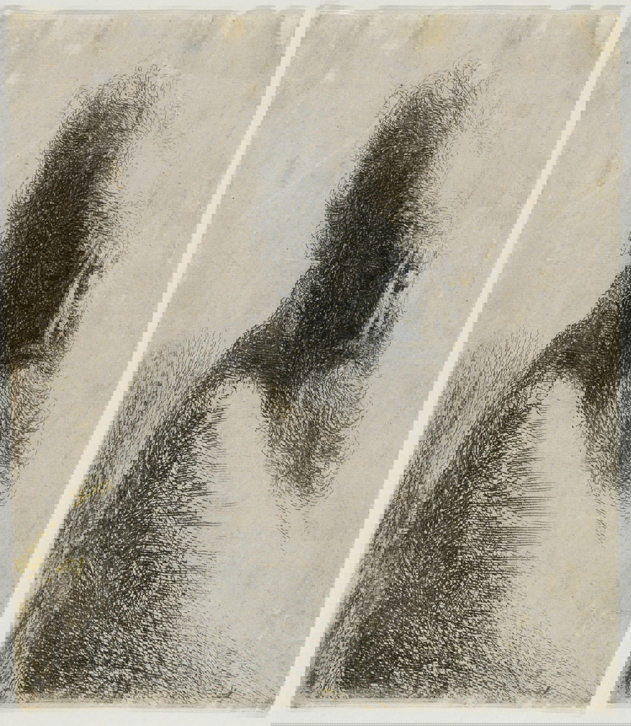 Rembrandt van Rijn. Gammel mand, der ser ned, 1631. Radering. Vejle Kunstmuseum