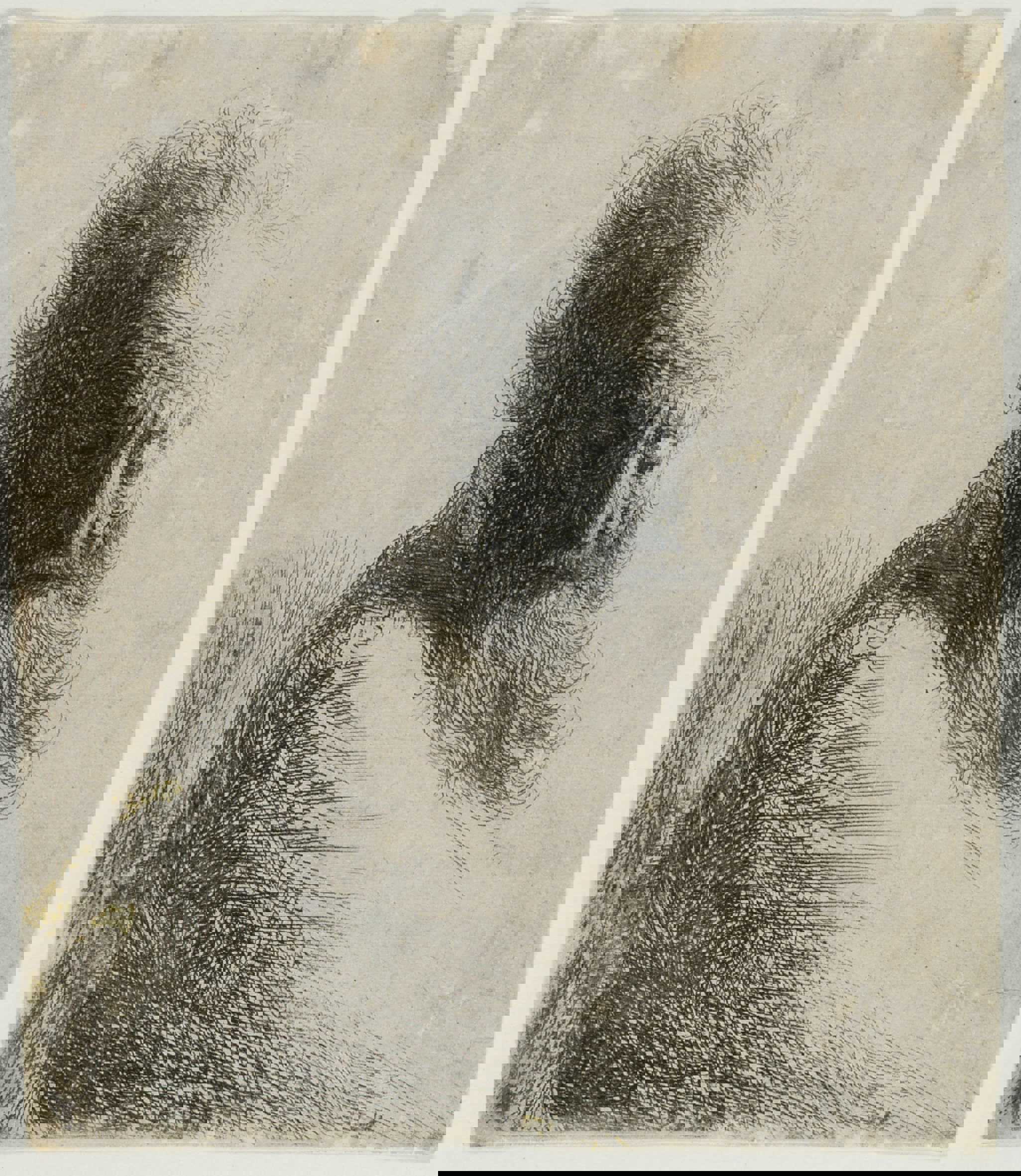 Rembrandt van Rijn. Gammel mand, der ser ned, 1631. Radering. Vejle Kunstmuseum