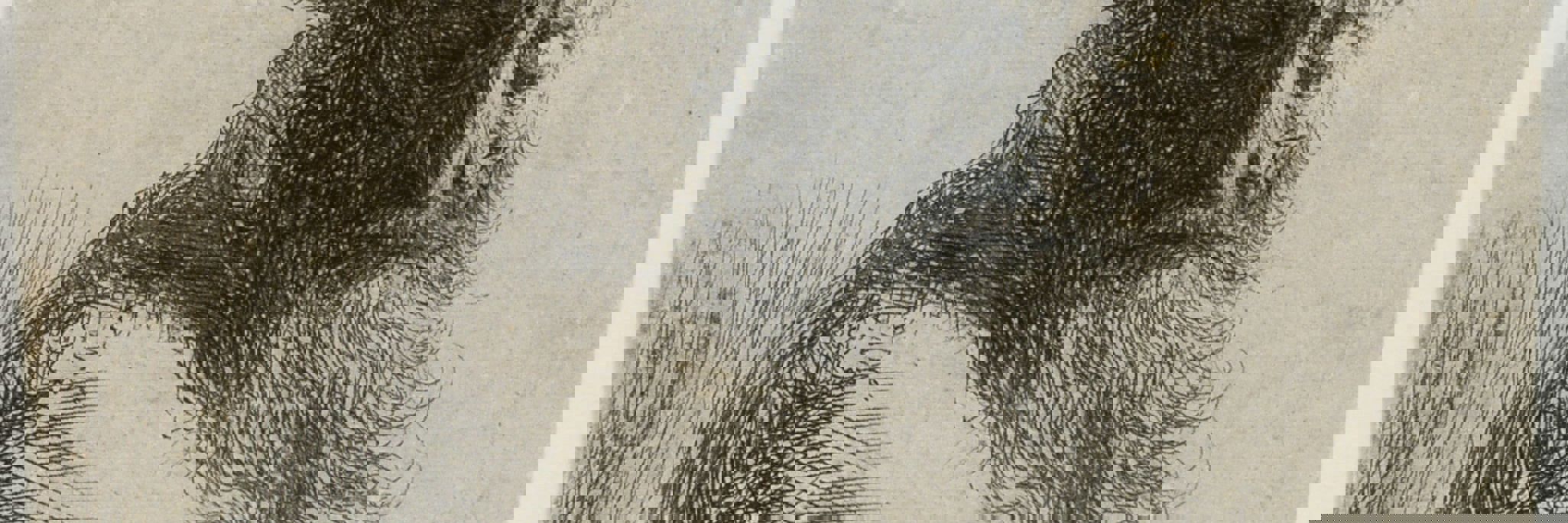 Rembrandt van Rijn. Gammel mand, der ser ned, 1631. Radering. Vejle Kunstmuseum