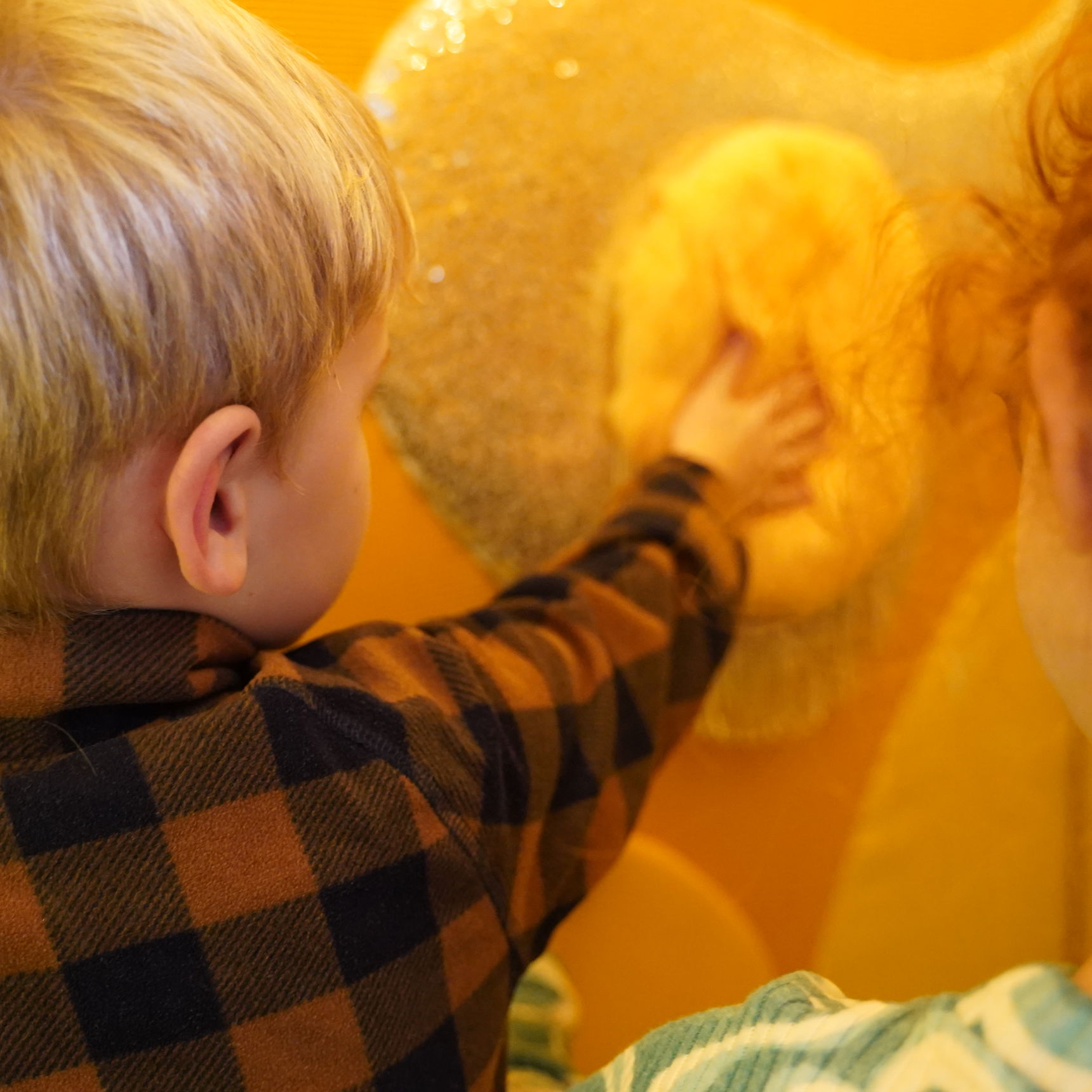 Børn sanser i udstilling