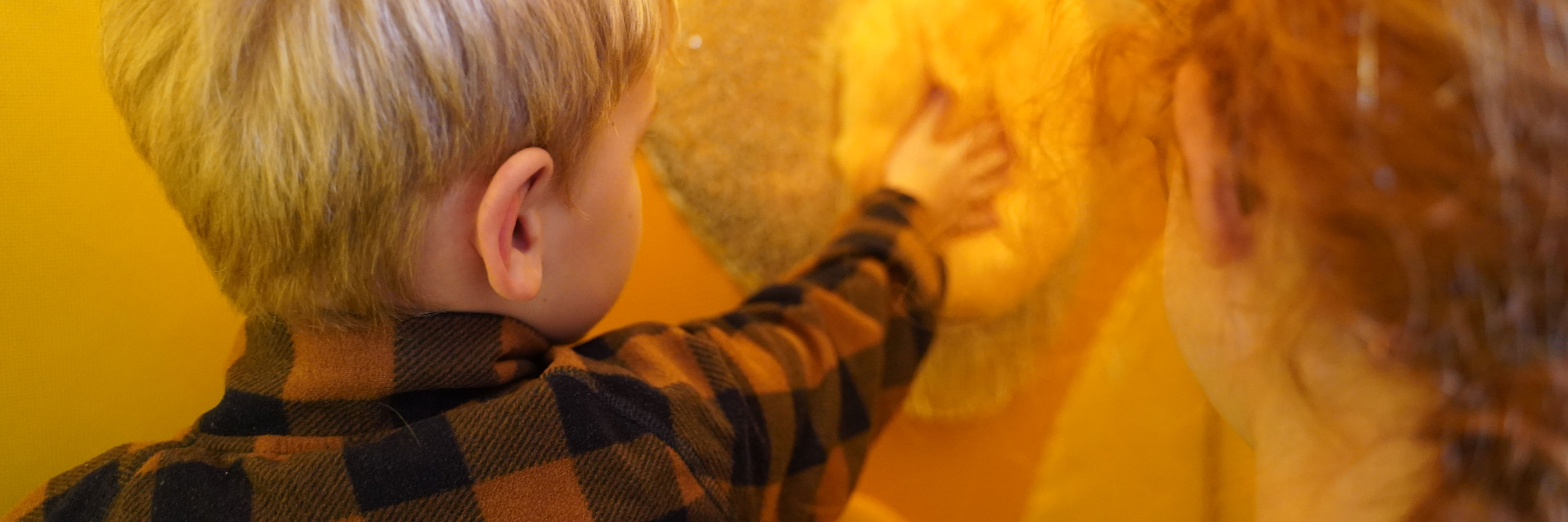 Børn sanser i udstilling