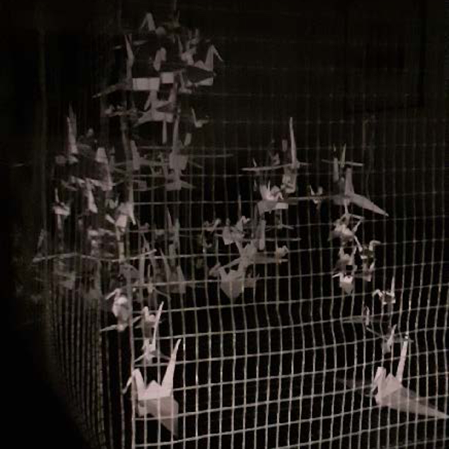 Emma Philip Otten, Tanker om fugle i bur, Alssundgymnasiet Sønderborg