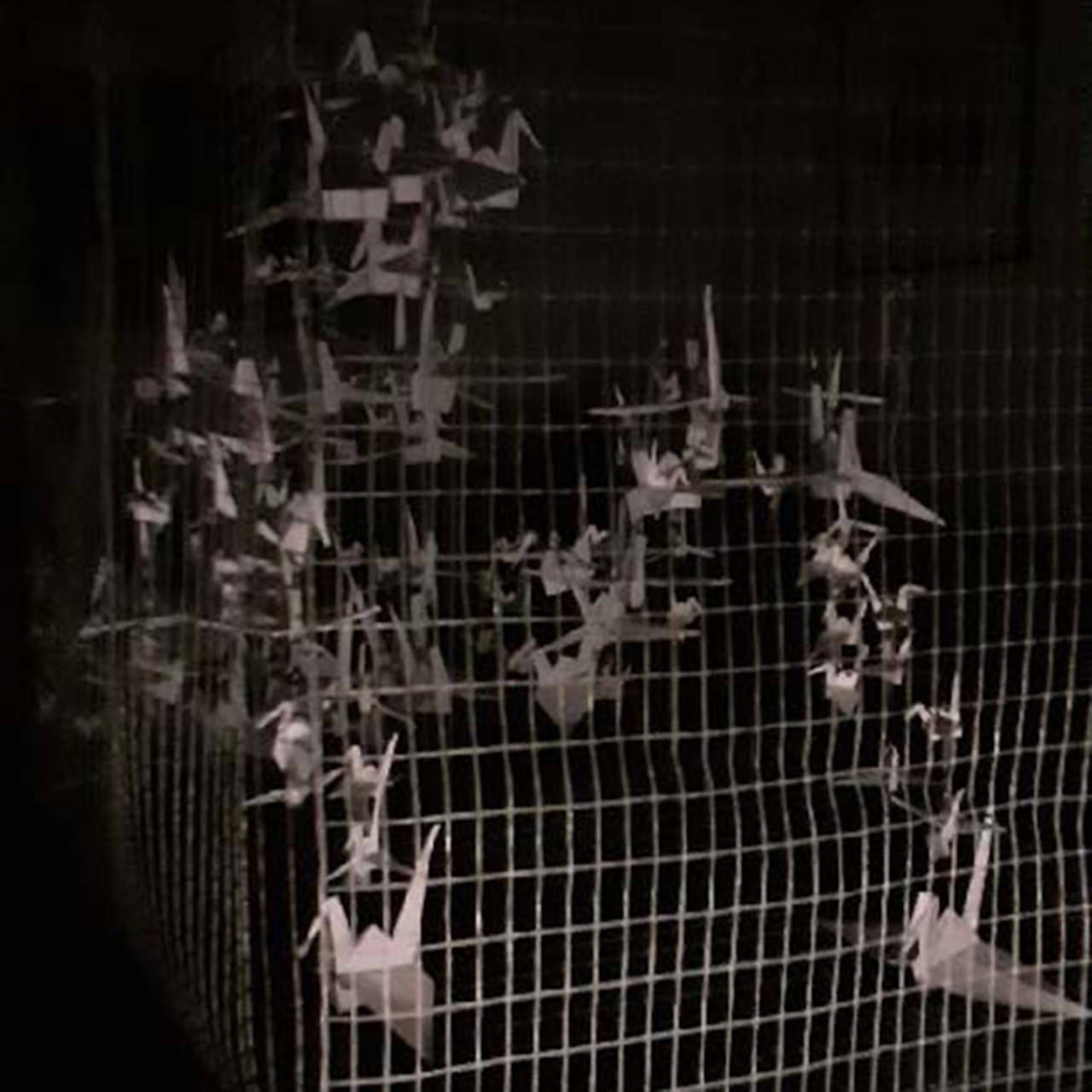 Emma Philip Otten, Tanker om fugle i bur, Alssundgymnasiet Sønderborg