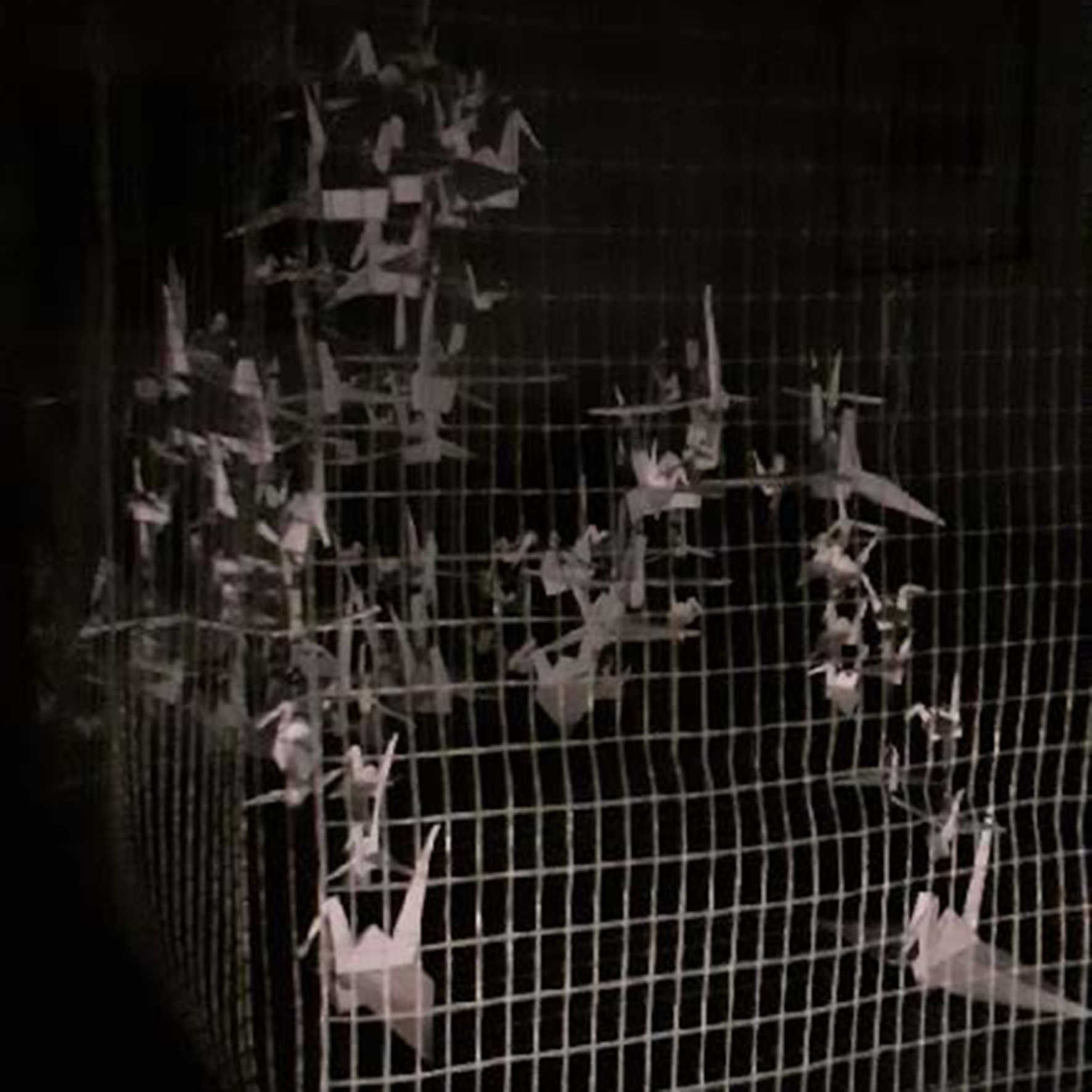 Emma Philip Otten, Tanker om fugle i bur, Alssundgymnasiet Sønderborg